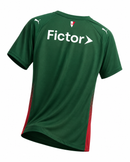 Camisa Palmeiras - Casa 26-27
